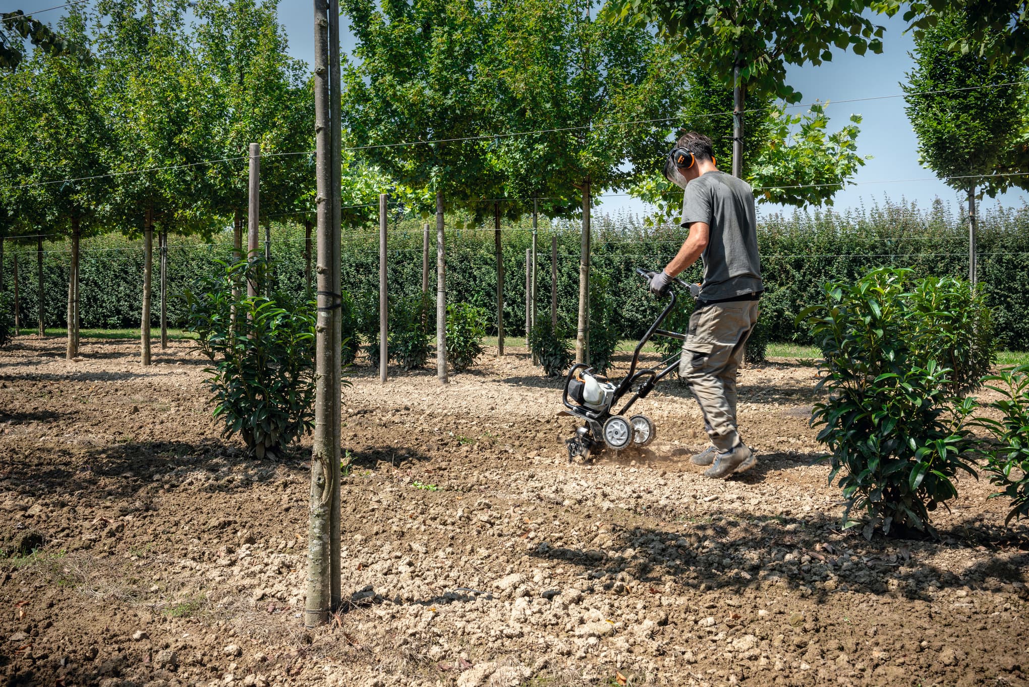 Мотокультиватор STIHL BC 230 — превью 3